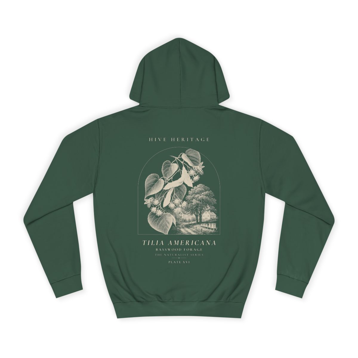 Basswood Forage - Naturalist Heavyweight Hoodie