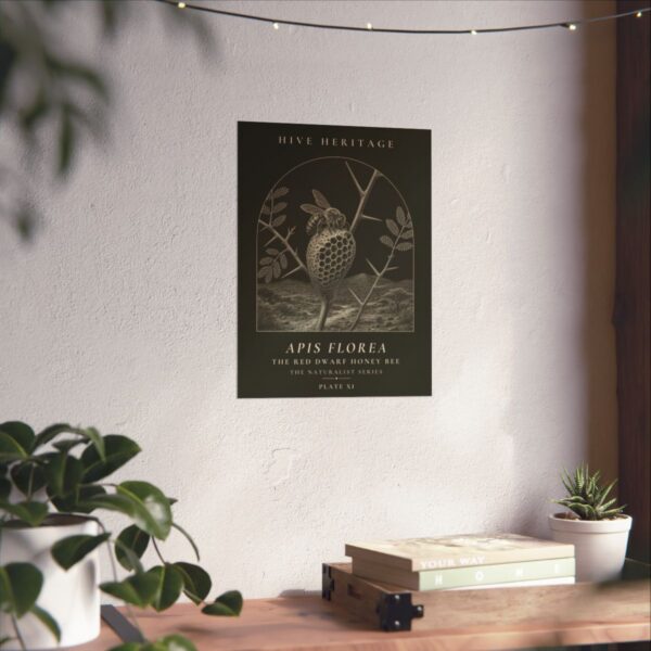 The Red Dwarf Honey Bee Naturalist Print