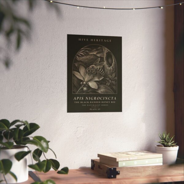 The Black-Banded Honey Bee Naturalist Print