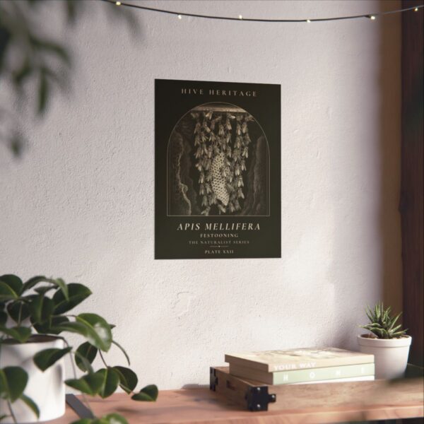 Festooning Naturalist Print