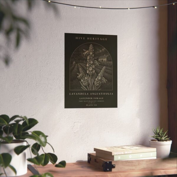 Lavender Forage Naturalist Print
