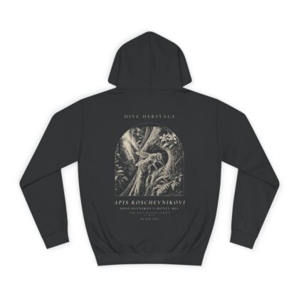Koschevnikov's Honey Bee - Naturalist Heavyweight Hoodie in Jet Black
