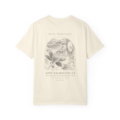The Black-Banded Honey Bee - Naturalist Heavyweight T-Shirt in Ivory