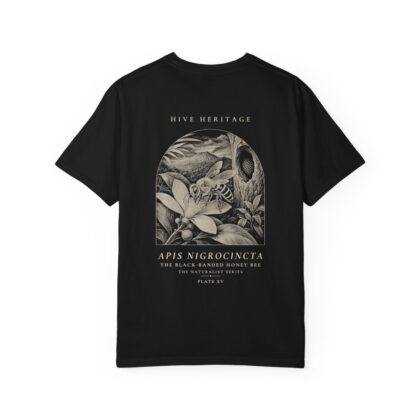 The Black-Banded Honey Bee - Naturalist Heavyweight T-Shirt in Black